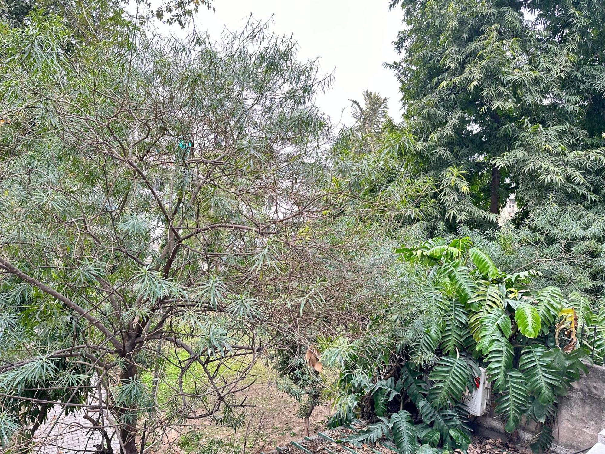 Hotel Grove Residency Hauz Khas New Delhi Couple Friendly Exterior foto